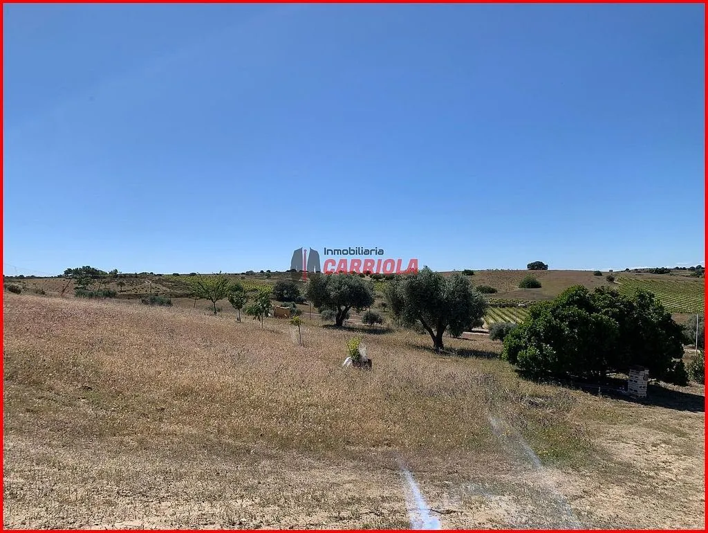 Jardin - Self-Sufficient Rural House in La Torre de Esteban Hambrán