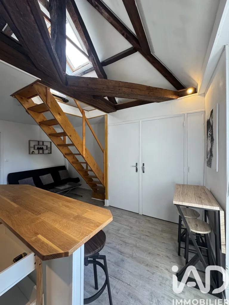 Toad - Duplex Studio with Mezzanine in Bourges