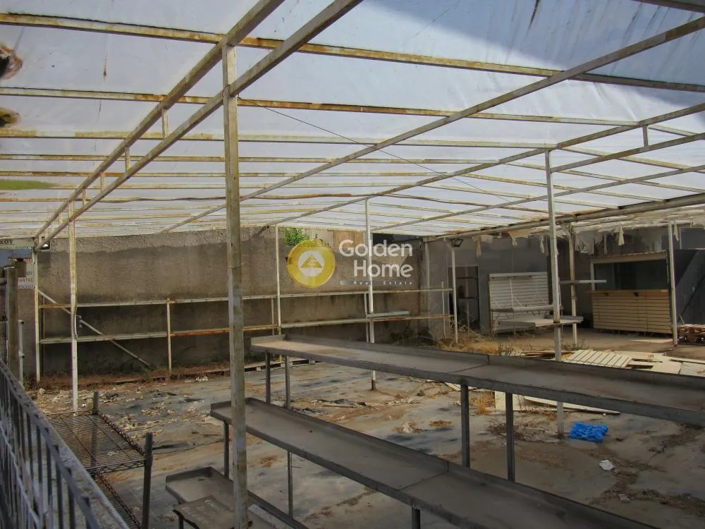 Toad - Plot with Commercial Potential in Egio Centre
