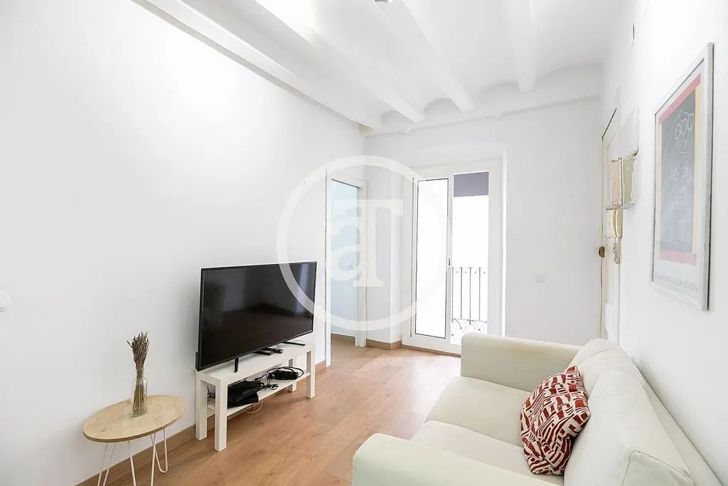 Séjour - Furnished Flat with Catalan Vault in Barcelona