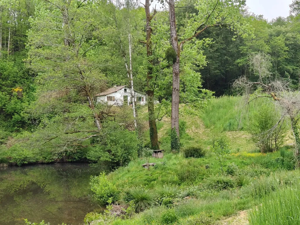 Jardin - Maisonnette avec Deux Étangs dans le Périgord Vert