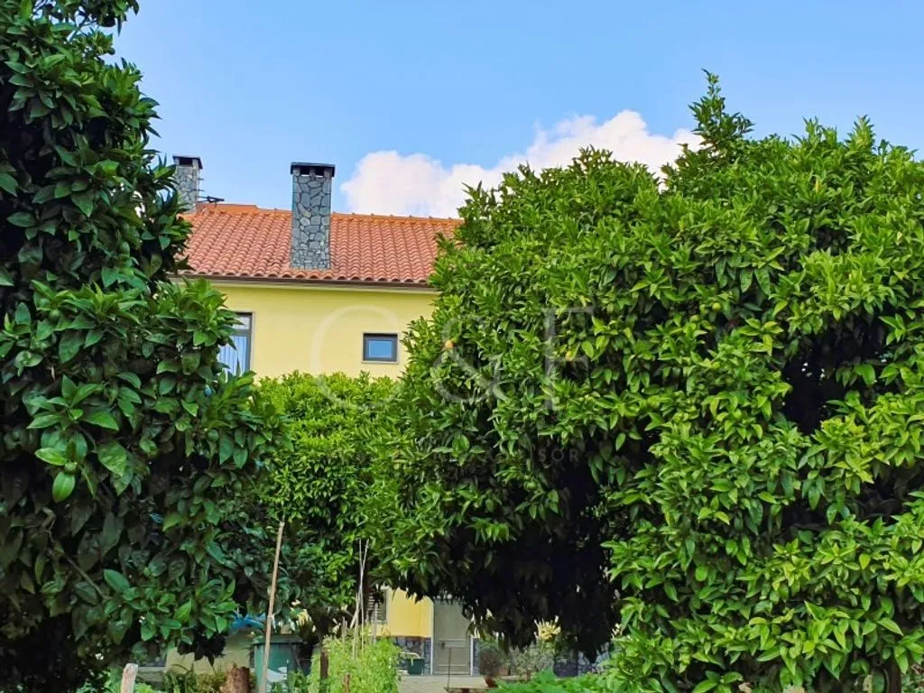 Aed - Luxury House with Garden in Seixal