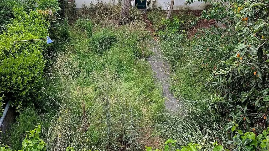 Giardino - Liberty-Style Terratetto near Empoli Centre