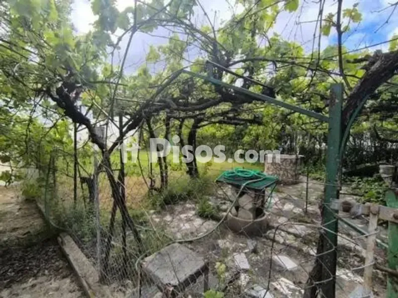 Jardin - Single-Storey Chalet with Orchard in Sardón de Duero
