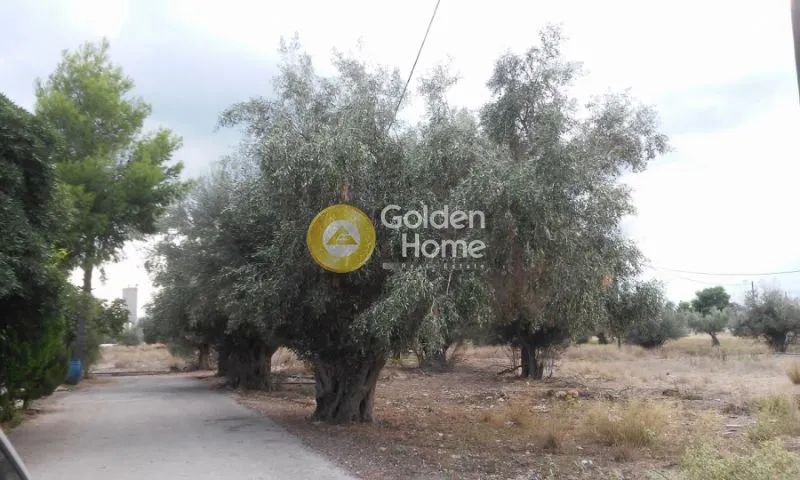 Aed - Plot with Building in Aspropyrgos Centre