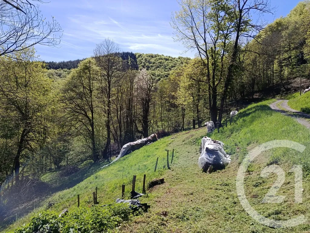 Jardin - Maison en Pierre avec Terrain à Aleu