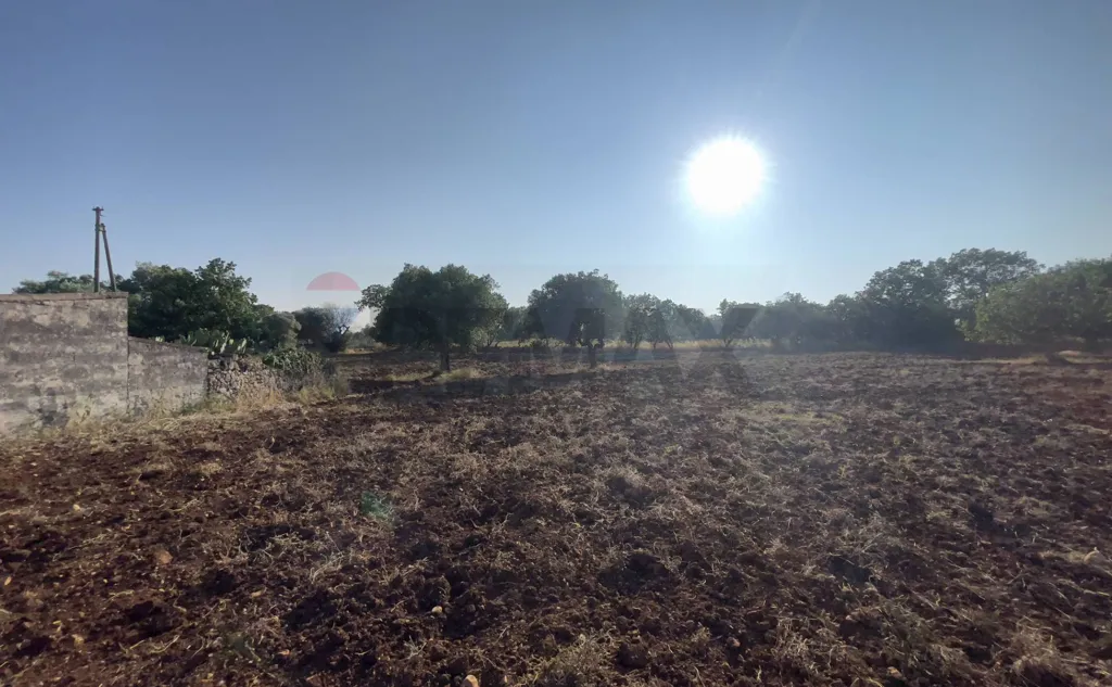 Jardin - Terrain à IT