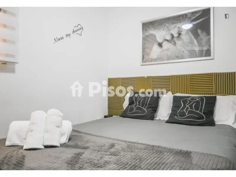 Magamistoad - 1-Bedroom Apartment in Madrid Centre
