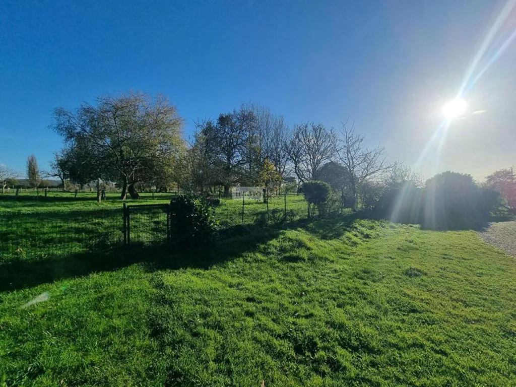 Garden - 4-room house in Ducey-les-Chéris