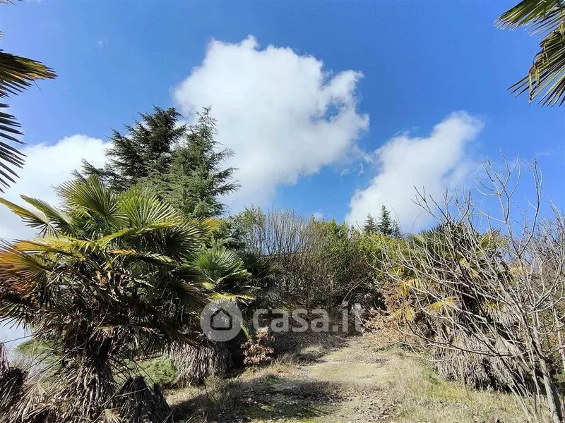 Jardin - Panoramic Villa with Terraces in Villa San Secondo