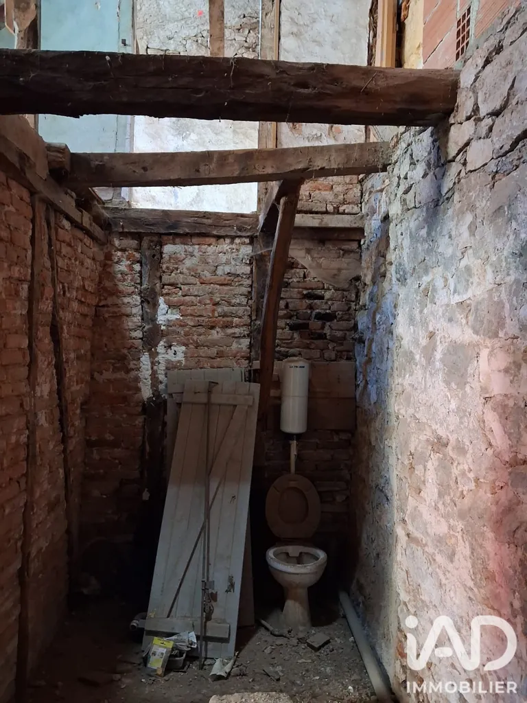 Toad - Village House for Renovation in Cazals