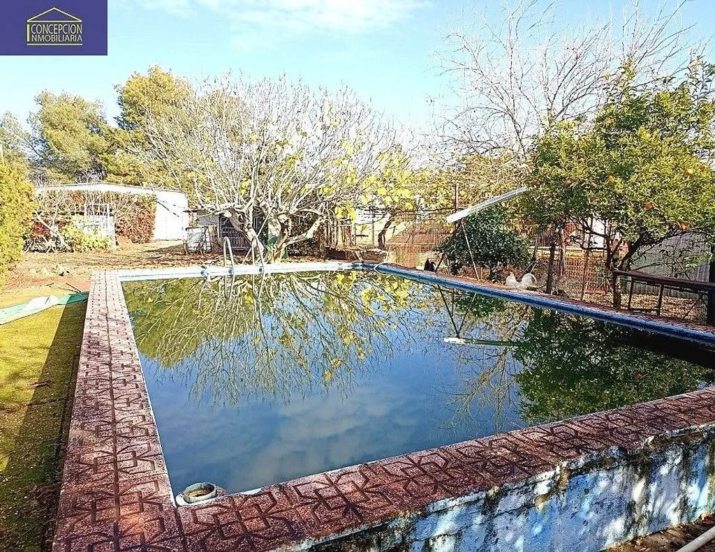 Piscina - Chalet with Pool in Alcolea