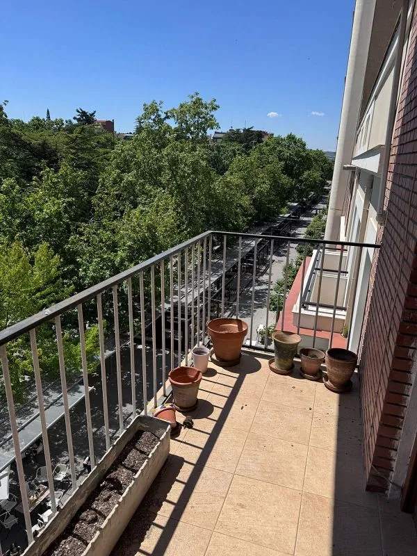 Rõdu - Apartment with Terrace in Palencia Centre