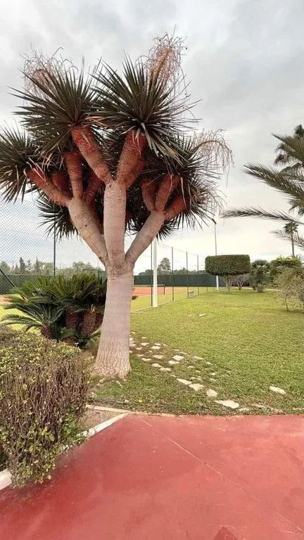 Aed - Luxury Chalet with Pool in Elche