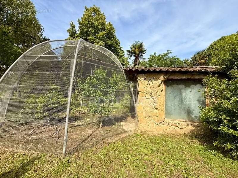 Jardin - Propriété de Caractère avec Parc à Limoux