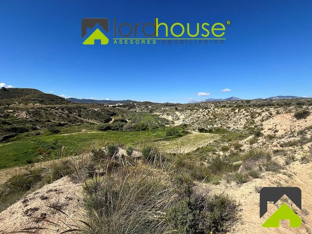 Giardino - Rustic House with Olive Grove in Lorca