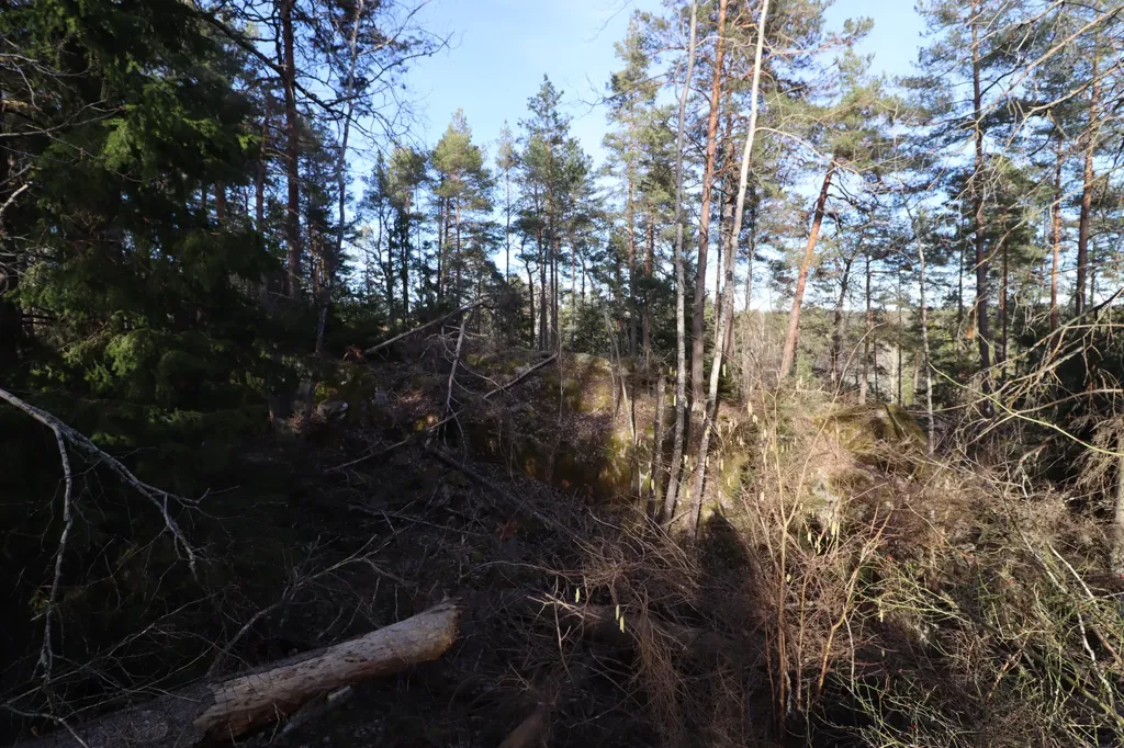 Jardin - Plot for Villa with Forest View in Härsbacka