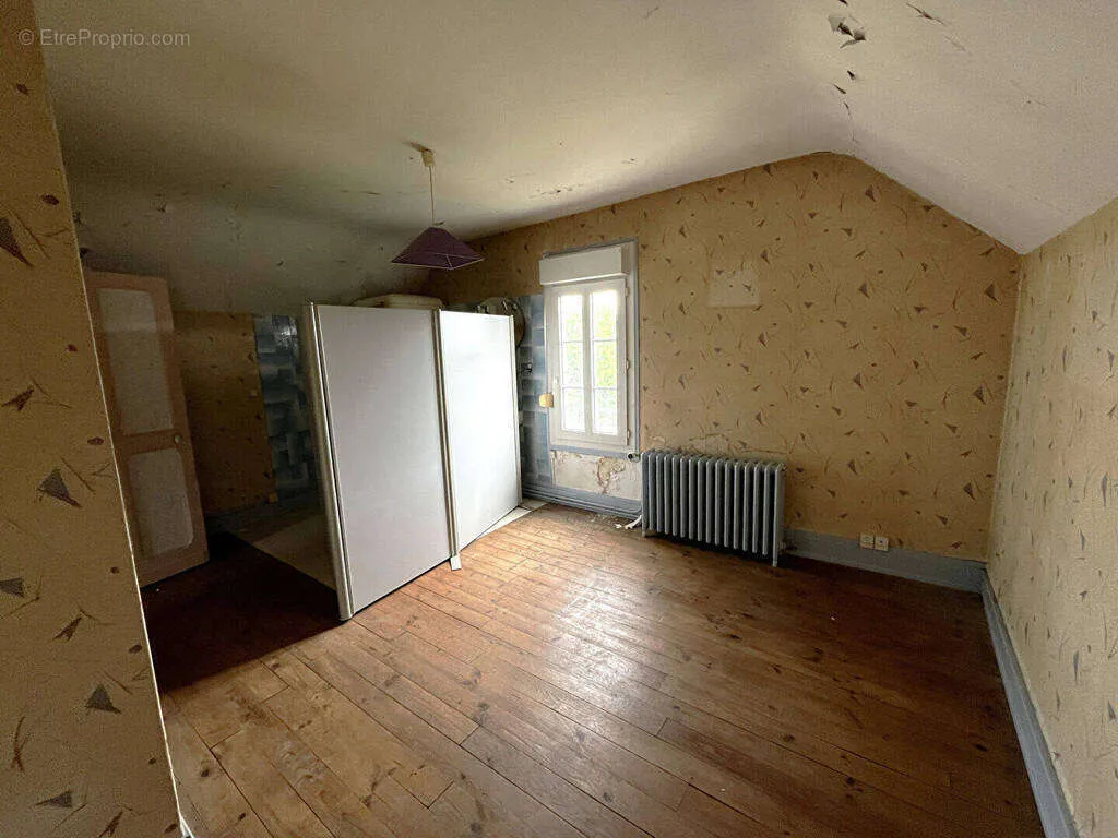 Toad - House with Potential in Bourges
