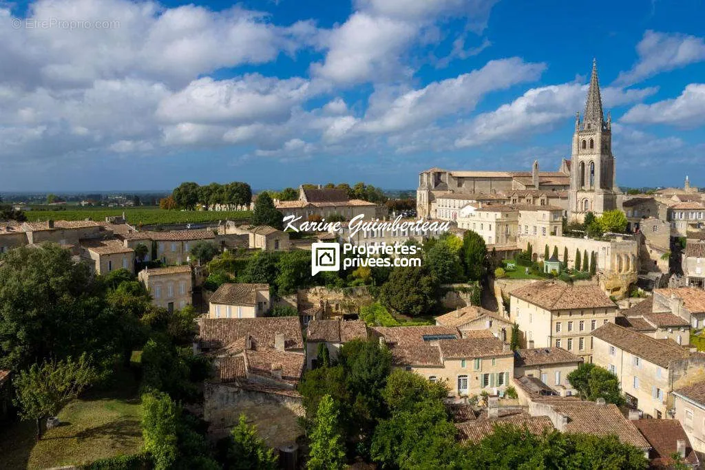 Õhuvaade - Majestic Demeure with Equestrian Facilities in St Emilion