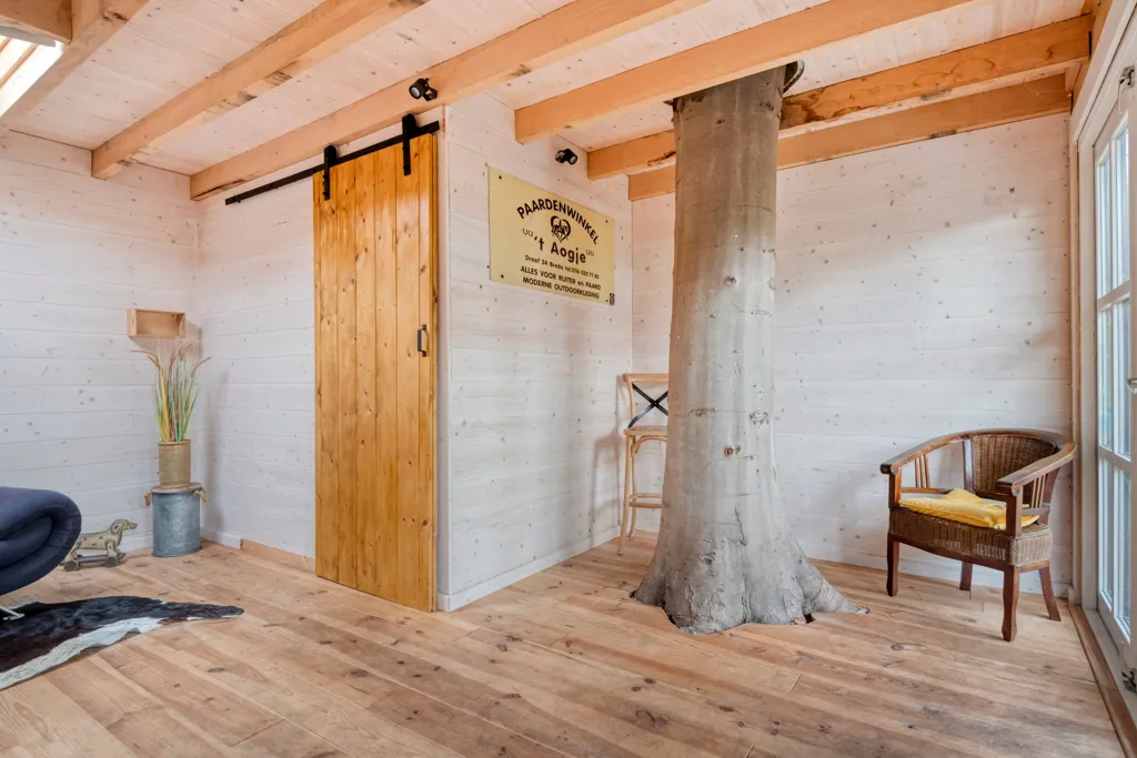 leisure_room
