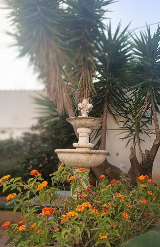garden
