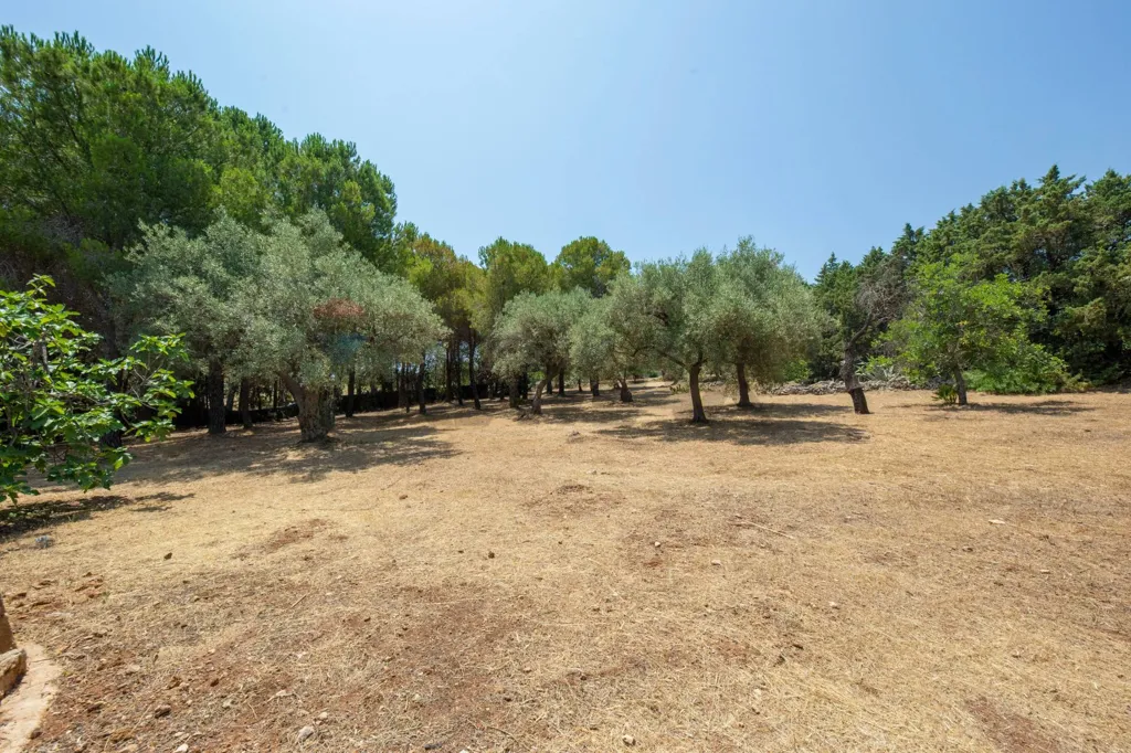 Jardin - Villa with Panoramic View in Siracusa