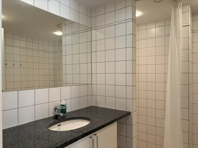 Bathrooms - Furnished Flat with Balcony in Copenhagen K
