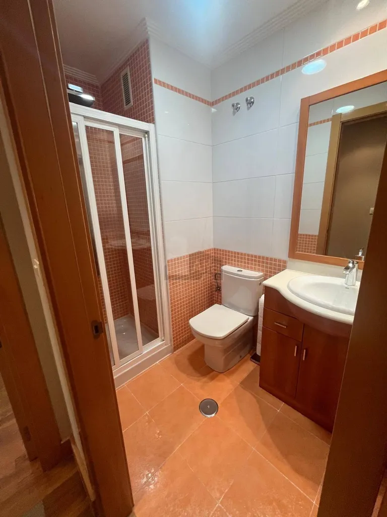 Salles de bain - Furnished Flat with Garden near Gran Vía, Vigo