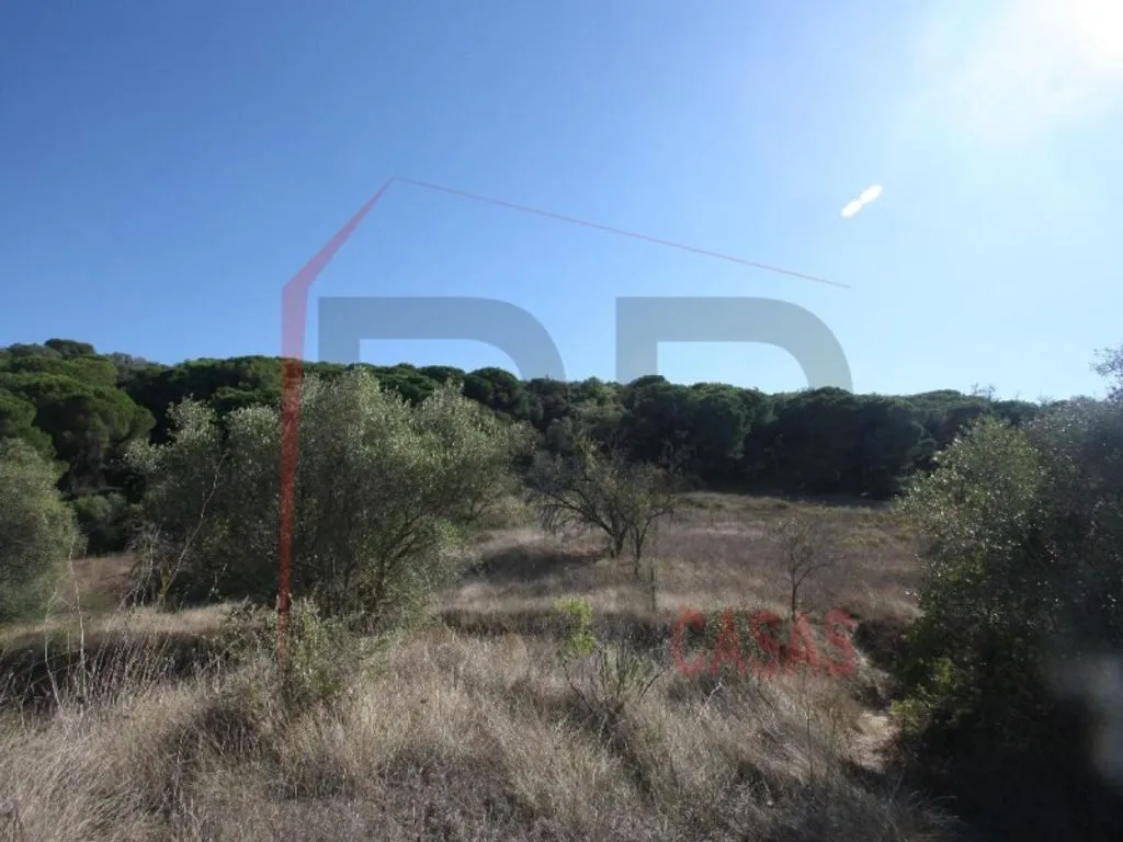 Aed - Farm with Panoramic View in Serra do Louro