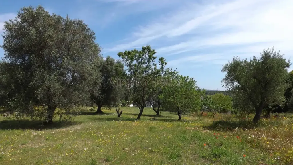 Garden - Typical Trulli House in Ostuni