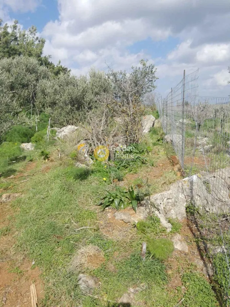 Garden - Land in GR