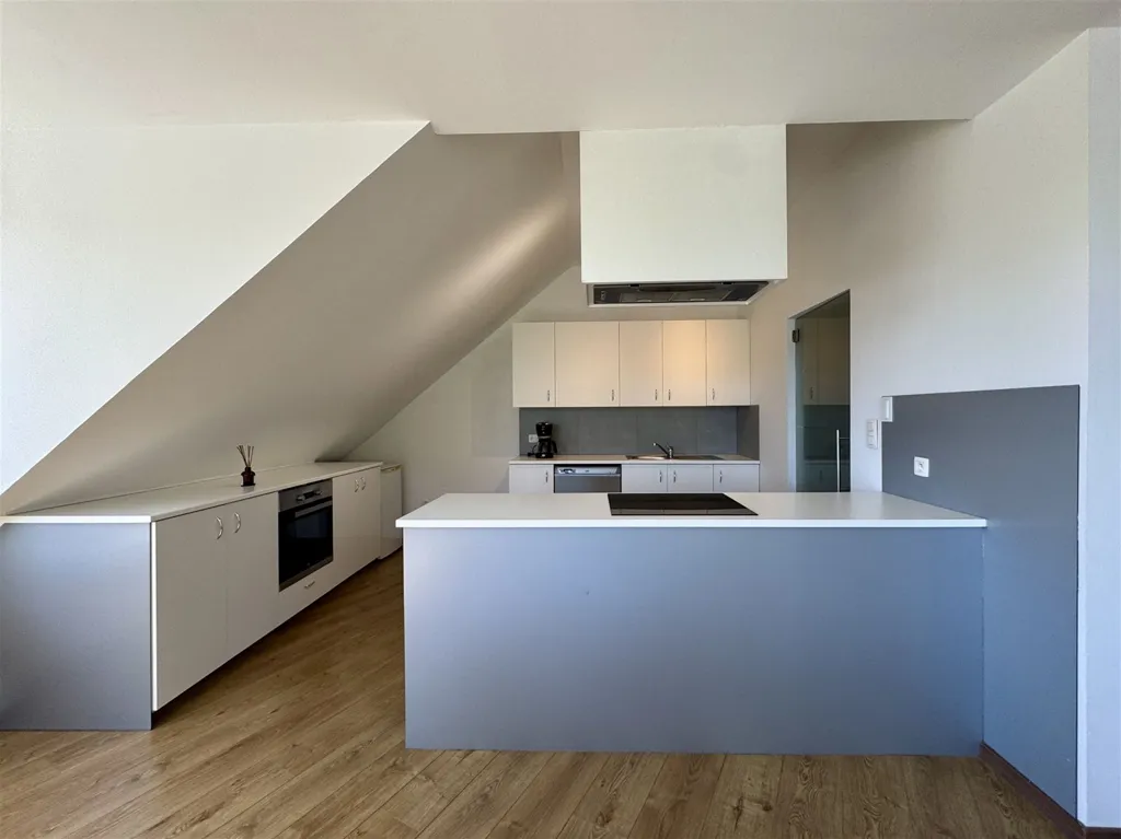 Cuisine - Appartement Spacieux avec Terrasse à Willebroek