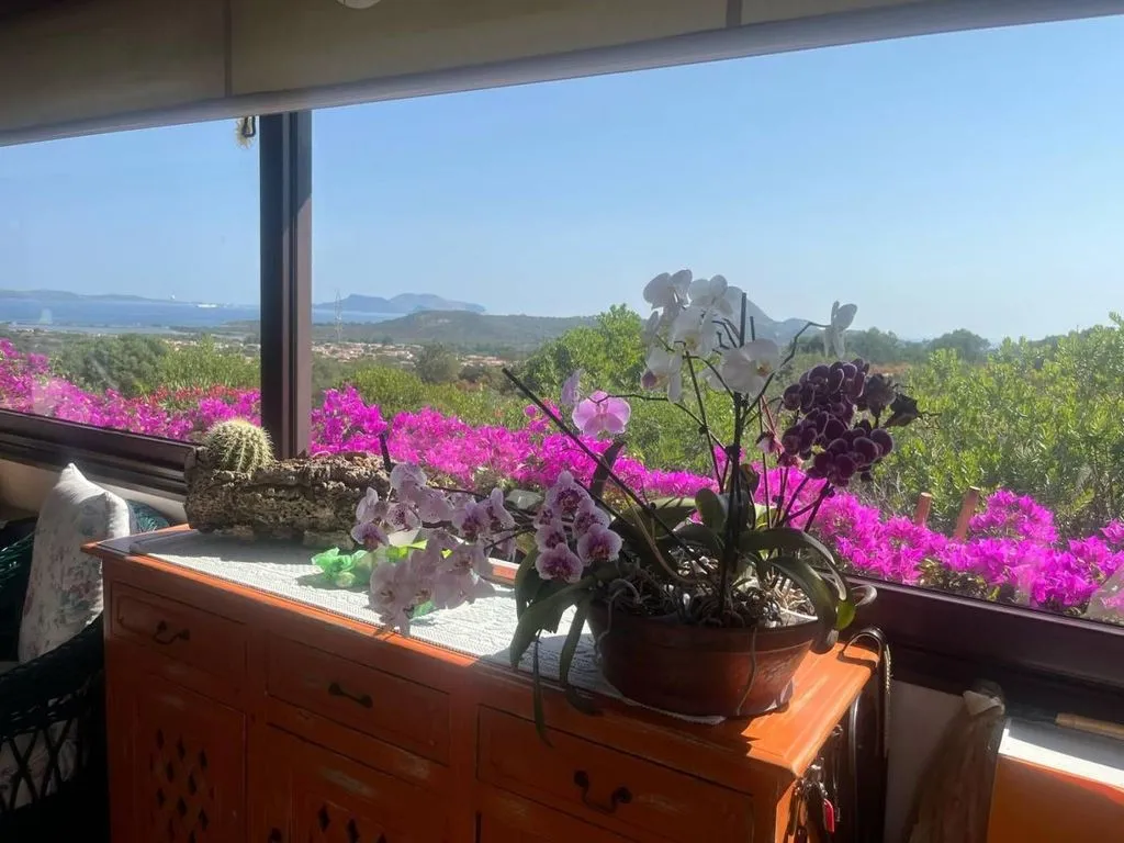 Terrasse - Luxury Villa with Sea View in Murta Maria