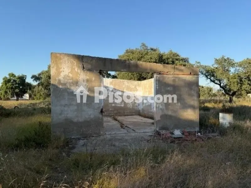 Jardin - Chalet with Land in Pedanías Norte