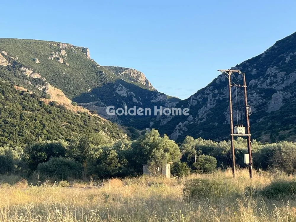 Giardino - Commercial Plot with Olive Trees in Traganá