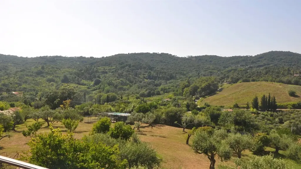Jardin - Villa with 360° View in Rosignano Marittimo