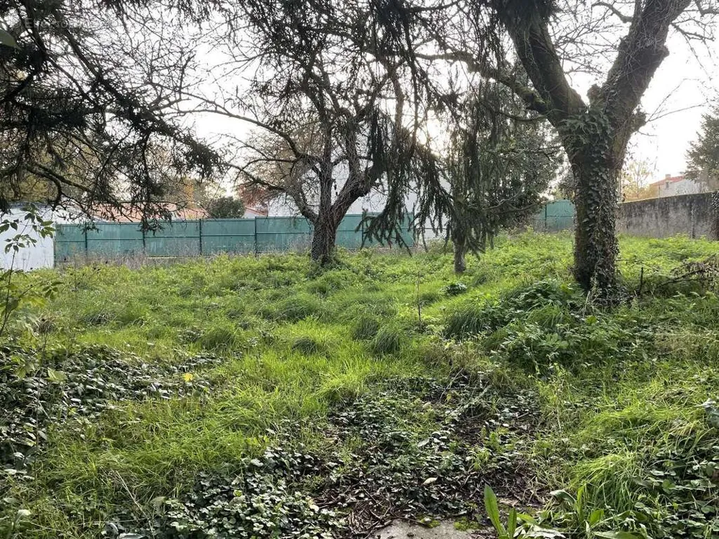 Aed - Buildable Plot with Wall Enclosure in Quiet Area
