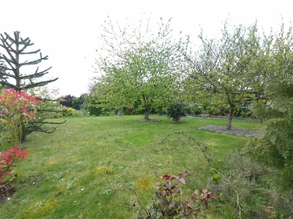 Garden - Well-Maintained House with Garden in Nogent-Sur-Oise