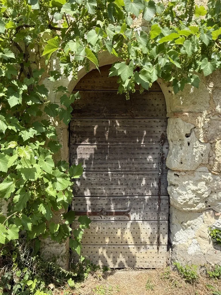 Giardino - Character House with Benedictine Barn in La Romieu