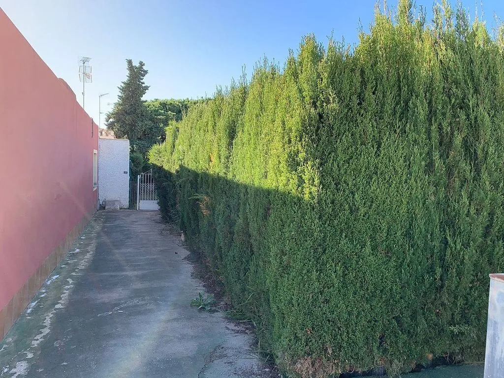 Extérieur - Chalet with Garden in Campoamor