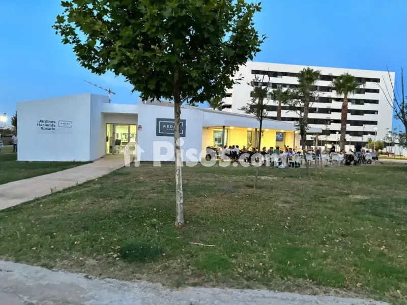 New Flat with Terrace in Palmete-Padre Pío