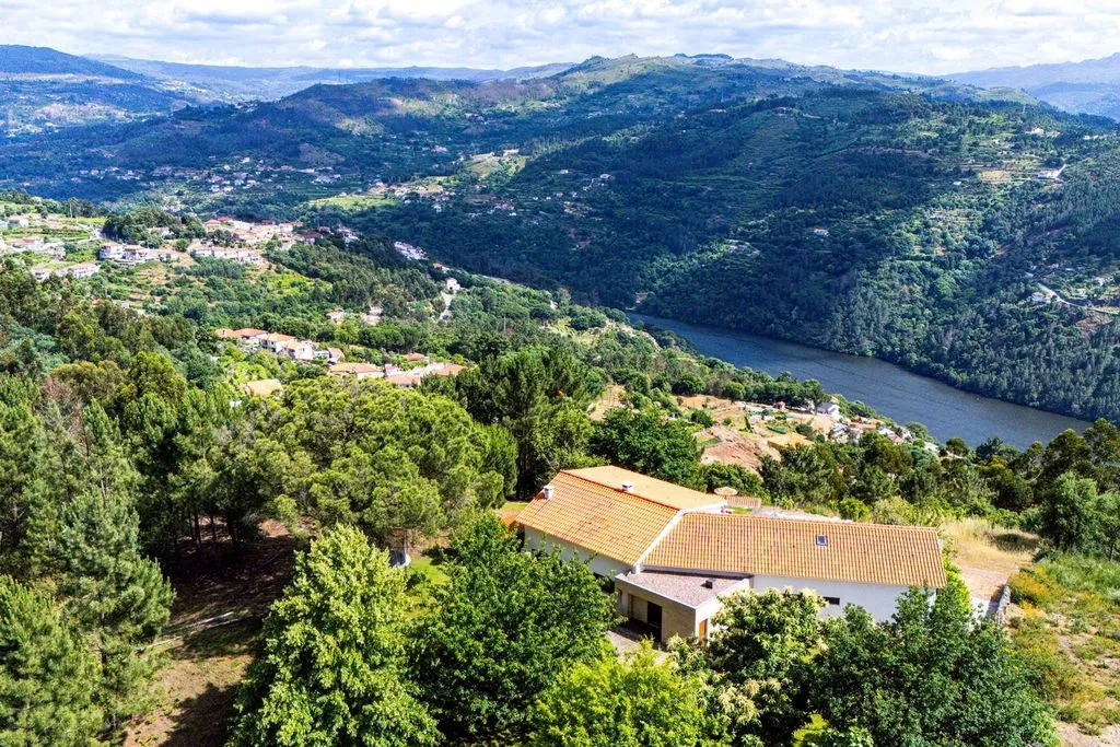 Vue aérienne - Luxury Detached House with Extensive Land in Baião