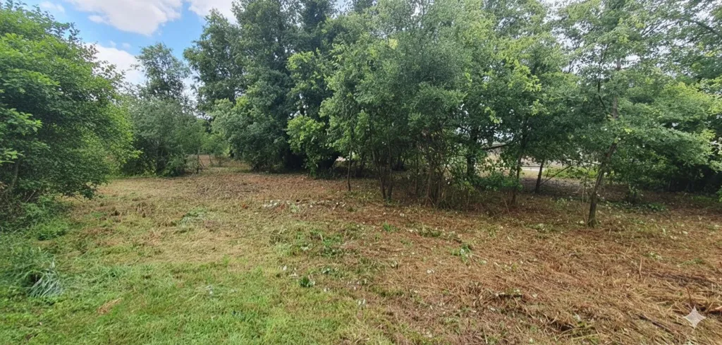 Jardin - Deux Terrains à Bâtir avec Jardin à Albias