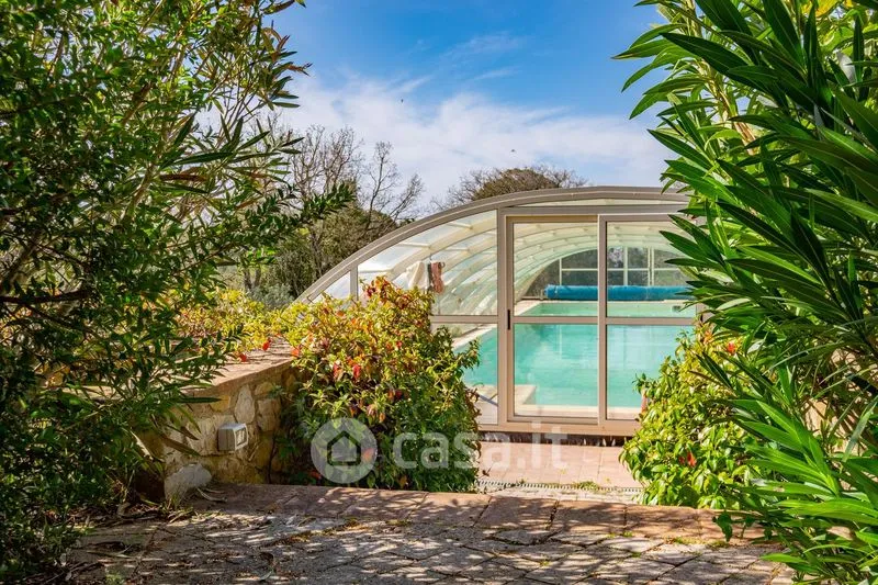 Piscine - Rustic Casale with Pool in Massa Marittima