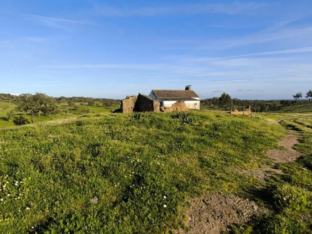 Aed - Luxury Farmhouse with Development Potential in Alentejo