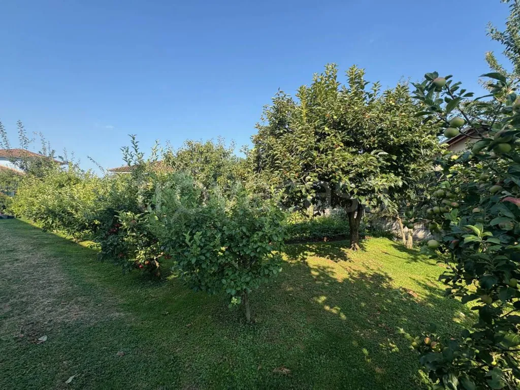 Jardin - Bifamiliar Villa with Commercial Space in Fossano