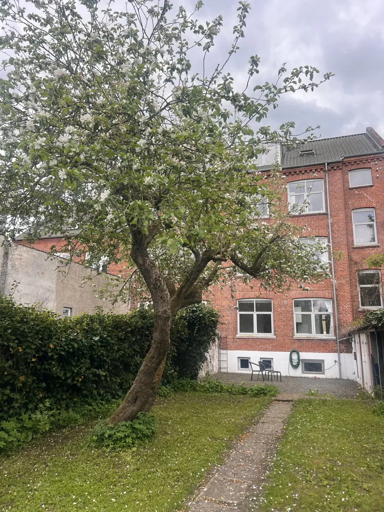 Jardin - 3-Room Apartment with Terrace in Central Location