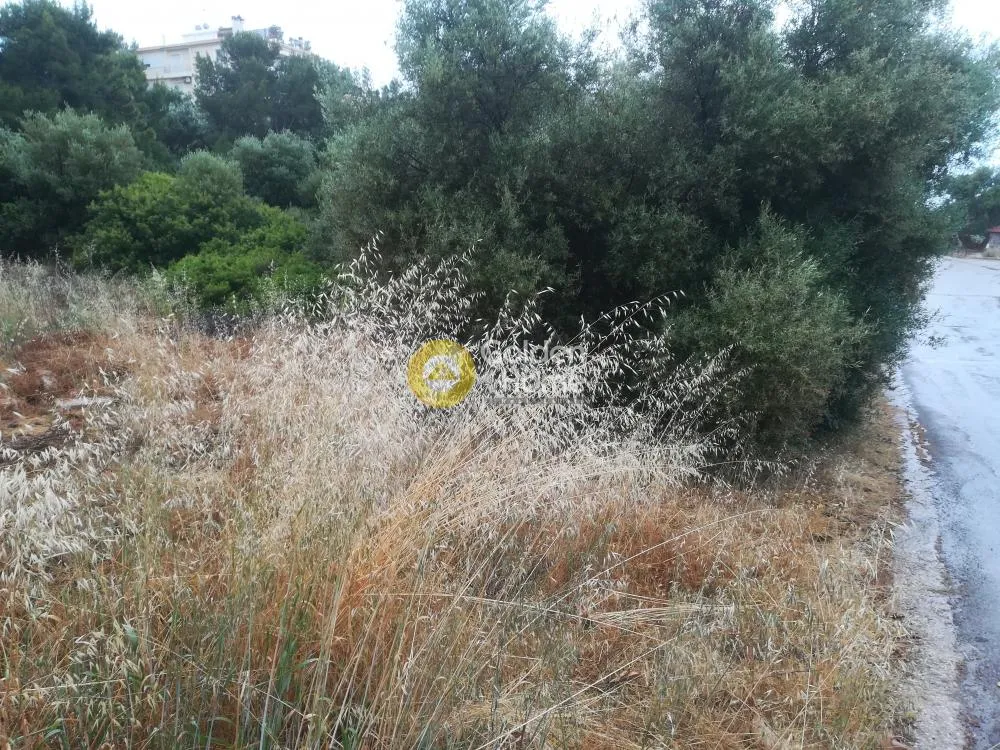 Jardin - Plot with Sea View in Sarandá, Eastern Attica