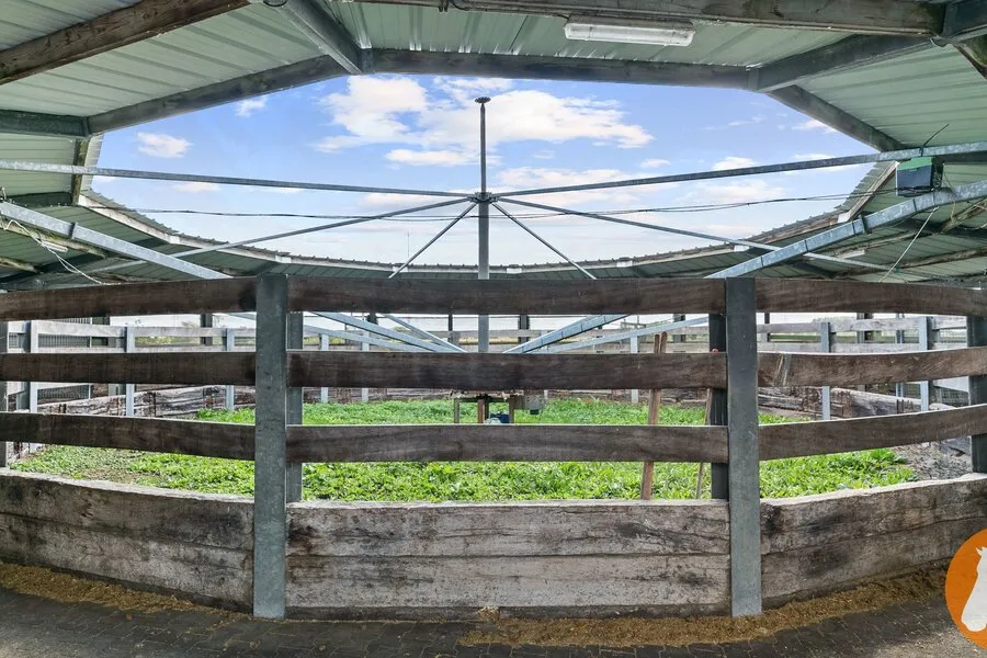 Terrass - Equestrian Facility with Villa in Mechelen