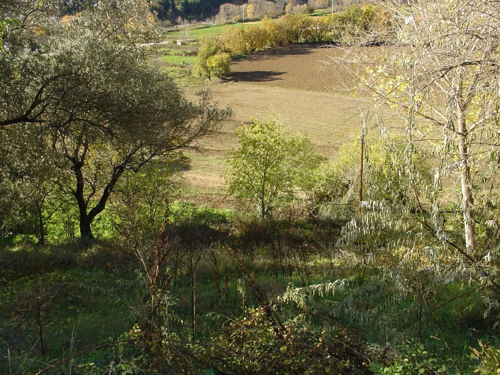 Jardin - Plot with Building License in Boltaña
